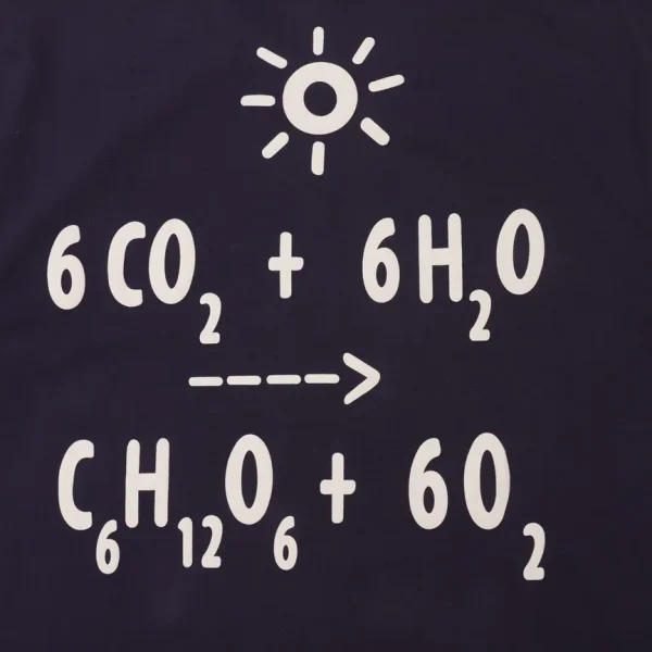 New Collection T-Shirt / – 10055 - Image 7