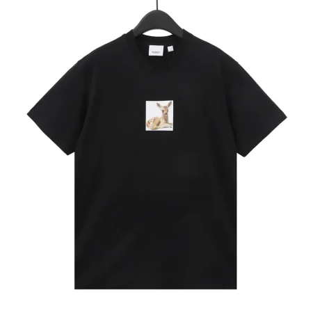 New Collection T-Shirts  / - 20052